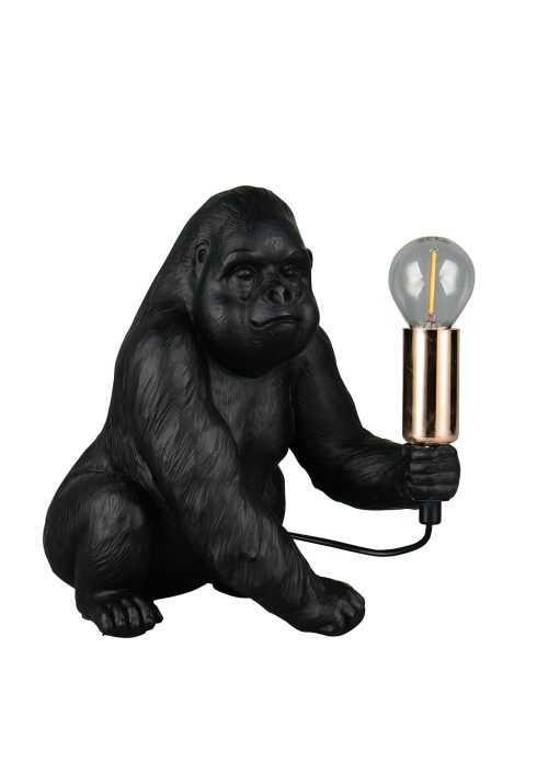 Alternative view of Pöytävalaisin KONGO musta