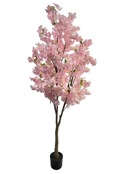 Kirsikkapuu vaaleanpunainen (180 cm)