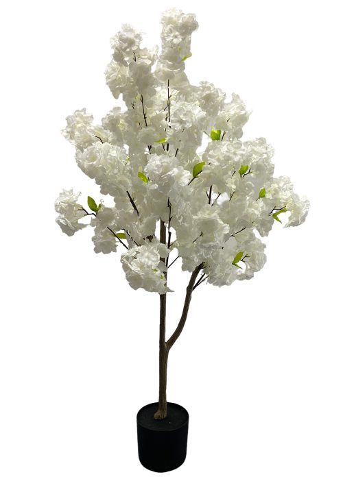 Kirsikkapuu valkoinen (120 cm)