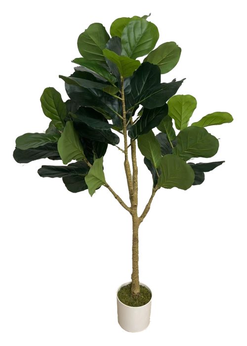 Kumipuu (120 cm)