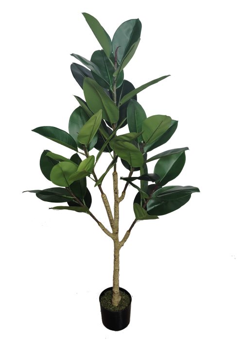 Kumipuu (150 cm)
