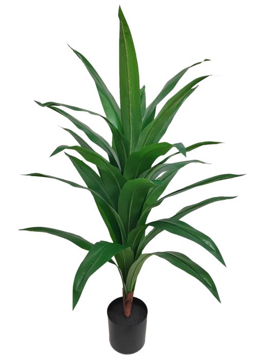 Lohikäärmepuu (110 cm)