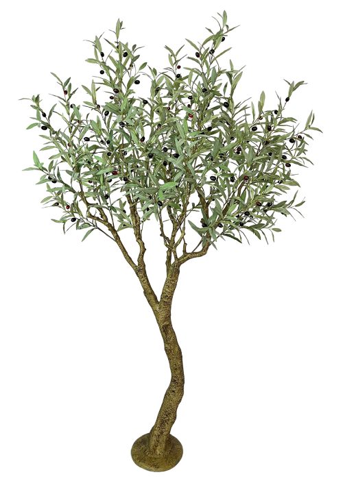 Oliivipuu (210 cm)