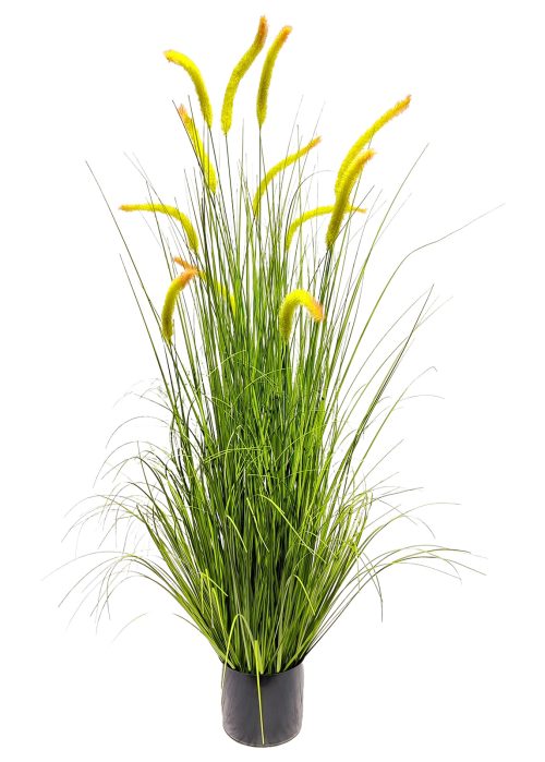 Vihreä ruoko (120 cm)